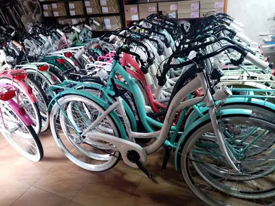 Nexus - Rowery i narty biegowe